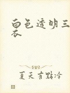 白色透明三角泳衣
