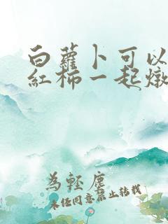 白萝卜可以和西红柿一起炖排骨吗