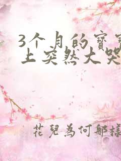 3个月的宝宝晚上突然大哭不止