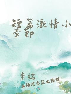 短篇激情小说全章节