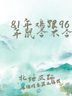 81年鸡跟96年鼠合不合