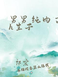 男男 纯肉 高h生子
