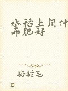水稻上用什么叶面肥好