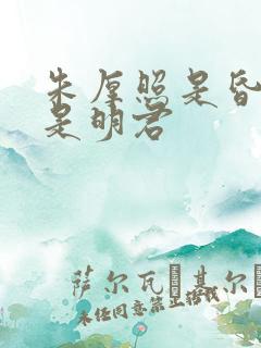 朱厚照是昏君还是明君