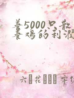 养5000只散养鸡的利润