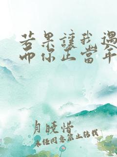 若果让我遇见你而你正当年轻是什么歌