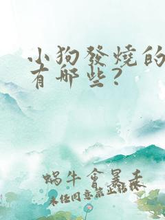 小狗发烧的症状有哪些?