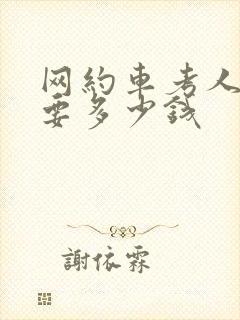 网约车考人证需要多少钱