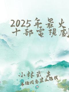 2025年最火十部电视剧