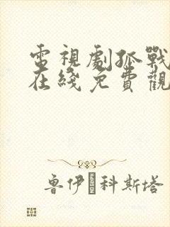 电视剧孤战迷城在线免费观看