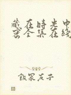藏在时光中的秘密全集在线观看