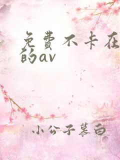 免费不卡在线看的av
