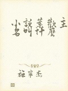 小说叶欢主角书名叫什么