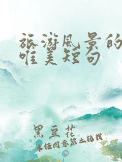 旅游风景的句子唯美短句