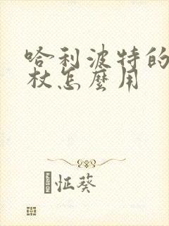 哈利波特的魔法杖怎么用