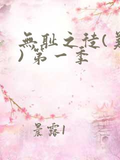 无耻之徒(美版) 第一季
