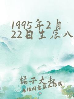 1995年2月22日生辰八字