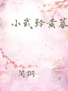 小武干黄蓉