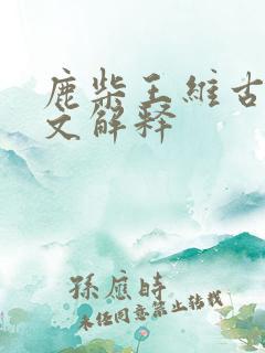 鹿柴王维古诗全文解释
