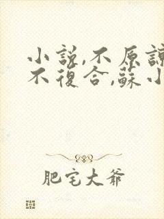 小说,不原谅,不复合,苏小姐独美