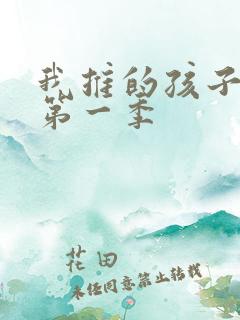我推的孩子动漫第一季