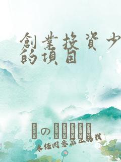 创业投资少挣钱的项目