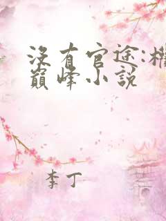 没有官途:权力巅峰小说