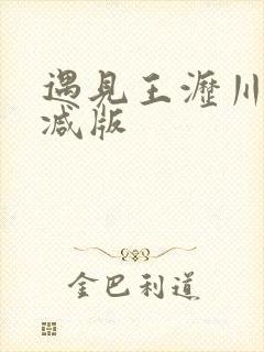 遇见王沥川未删减版