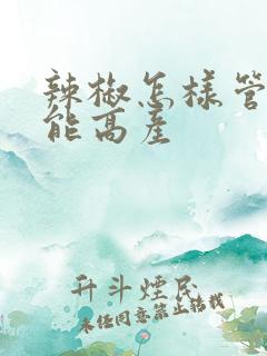 辣椒怎样管理才能高产