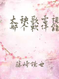 大秧歌电视剧在哪个软件能看