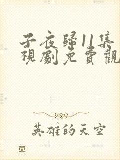 子夜归11集电视剧免费观看全集高清