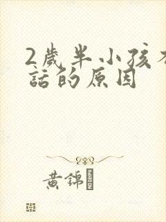 2岁半小孩不说话的原因
