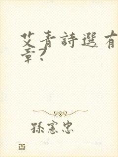 艾青诗选有多少章?