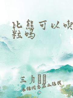 比熊可以吃玉米粒吗