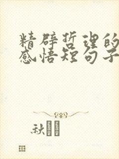 精辟哲理的人生感悟短句子