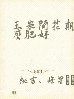 玉米开花期施什么肥好