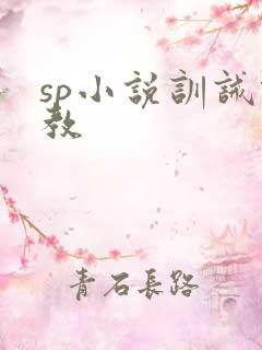 sp小说训诫调教
