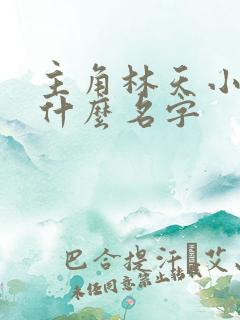 主角林天小说叫什么名字