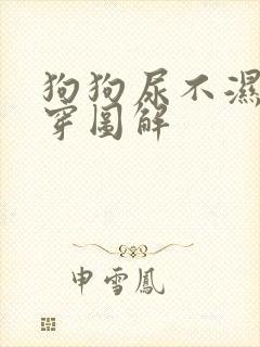 狗狗尿不湿怎么穿图解