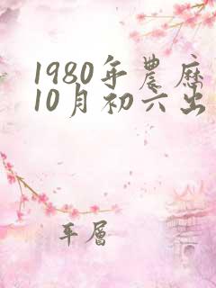 1980年农历10月初六出生生辰八字