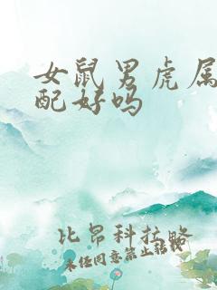女鼠男虎属相婚配好吗