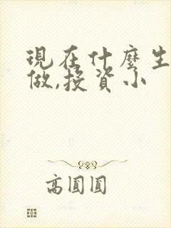 现在什么生意能做,投资小