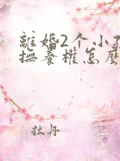 离婚2个小孩子抚养权怎么判定