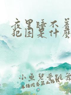 夜里睡不着白天犯困是什么原因