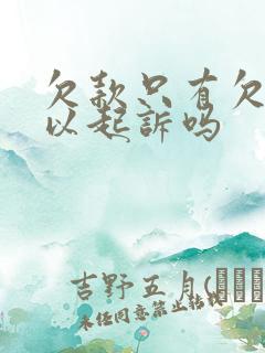 欠款只有欠条可以起诉吗