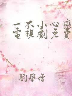 一不小心恋爱了电视剧免费观看全集
