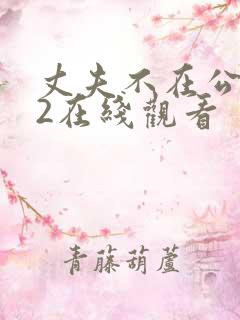 丈夫不在公迫我2在线观看