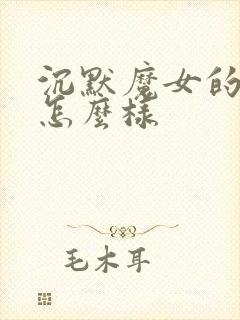 沉默魔女的秘密怎么样
