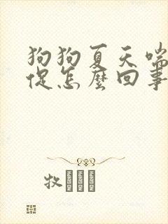 狗狗夏天喘气急促怎么回事