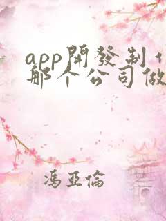 app开发制作那个公司做的好